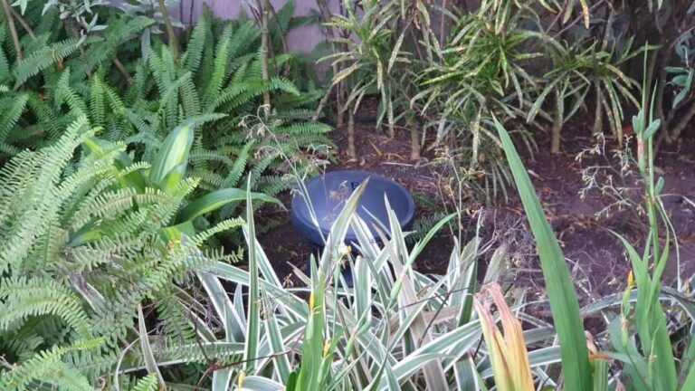 Garden speaker hidden among plants