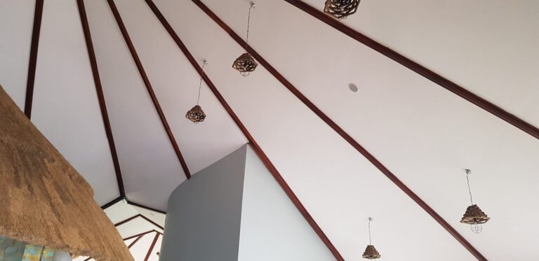 Ceiling speaker in the round lounge roof